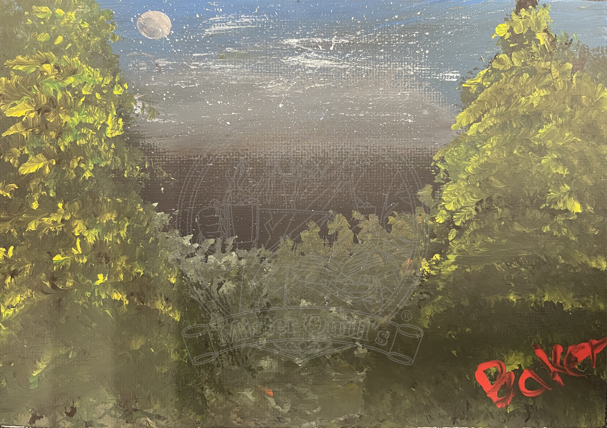 Night Mountain View