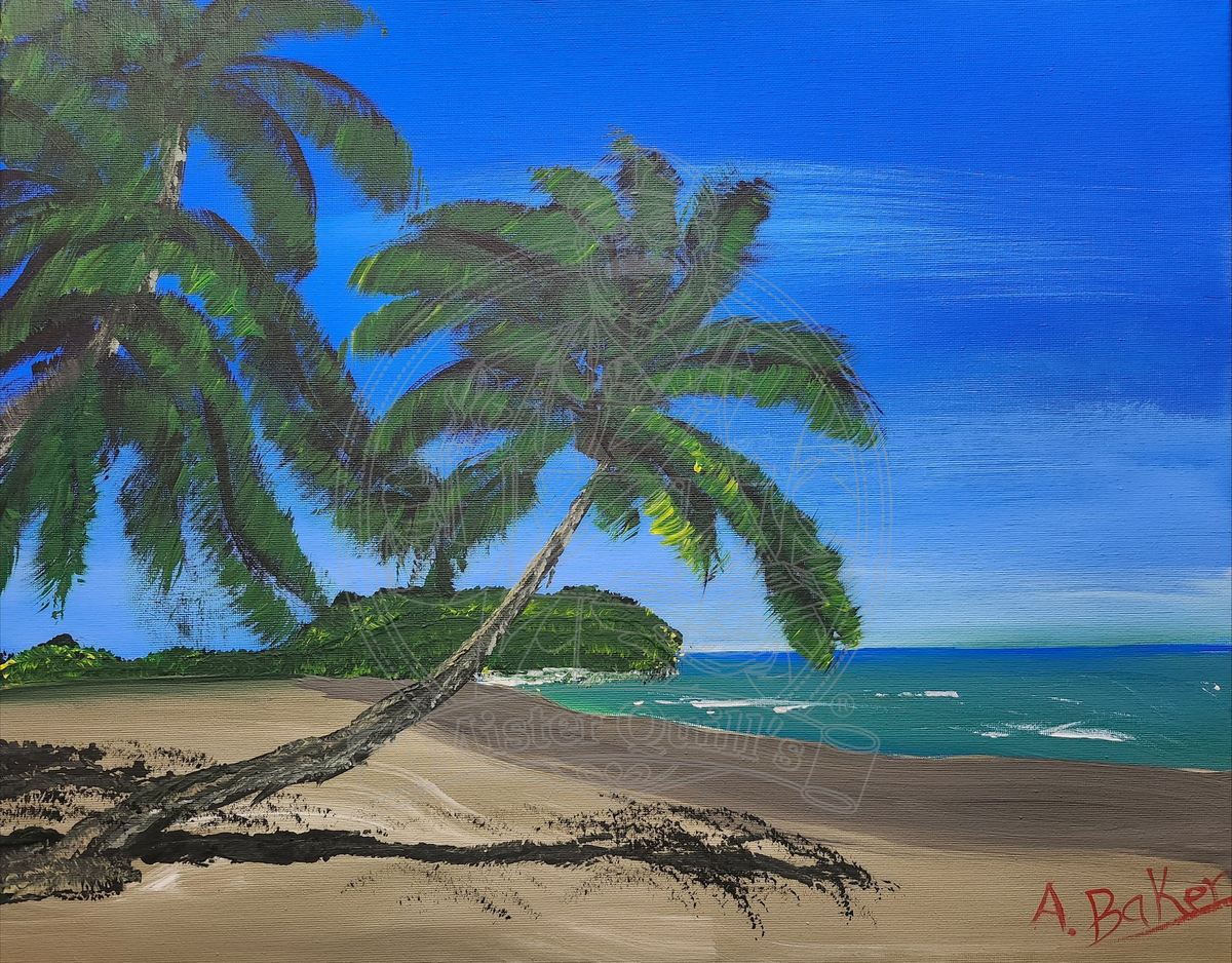 Walk on the Tropical Beach