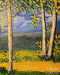 Birch Tree Walking Path