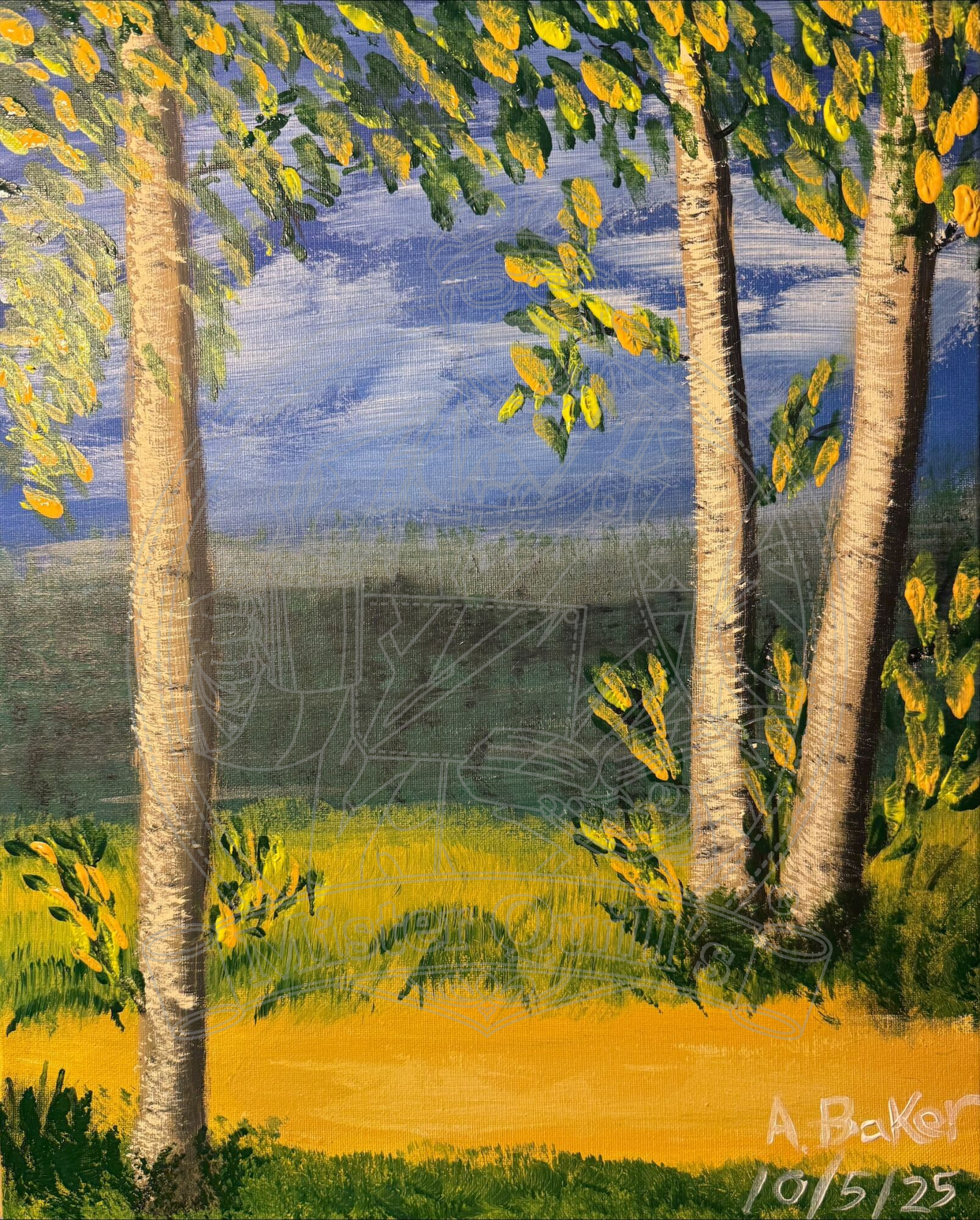Birch Tree Walking Path